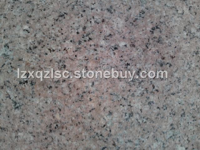 山东红麻&amp;nbsp;