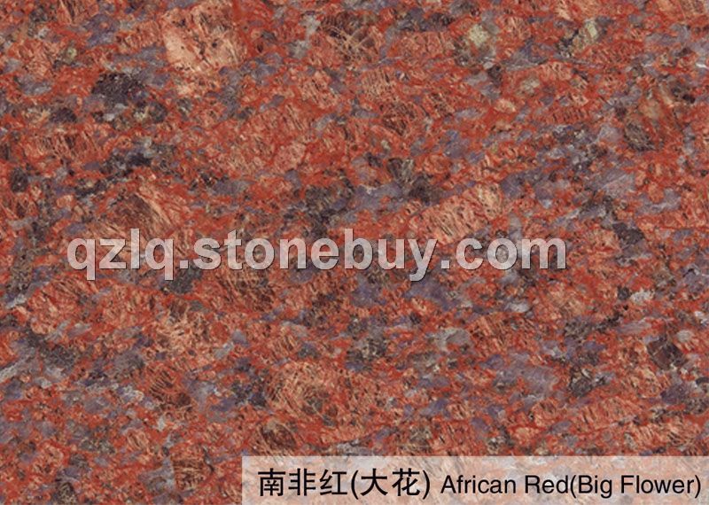 南非红（大花）