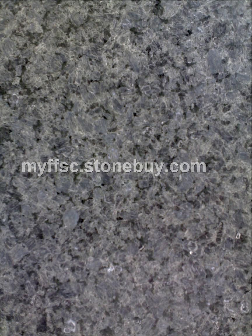 冰花兰（冰花蓝）