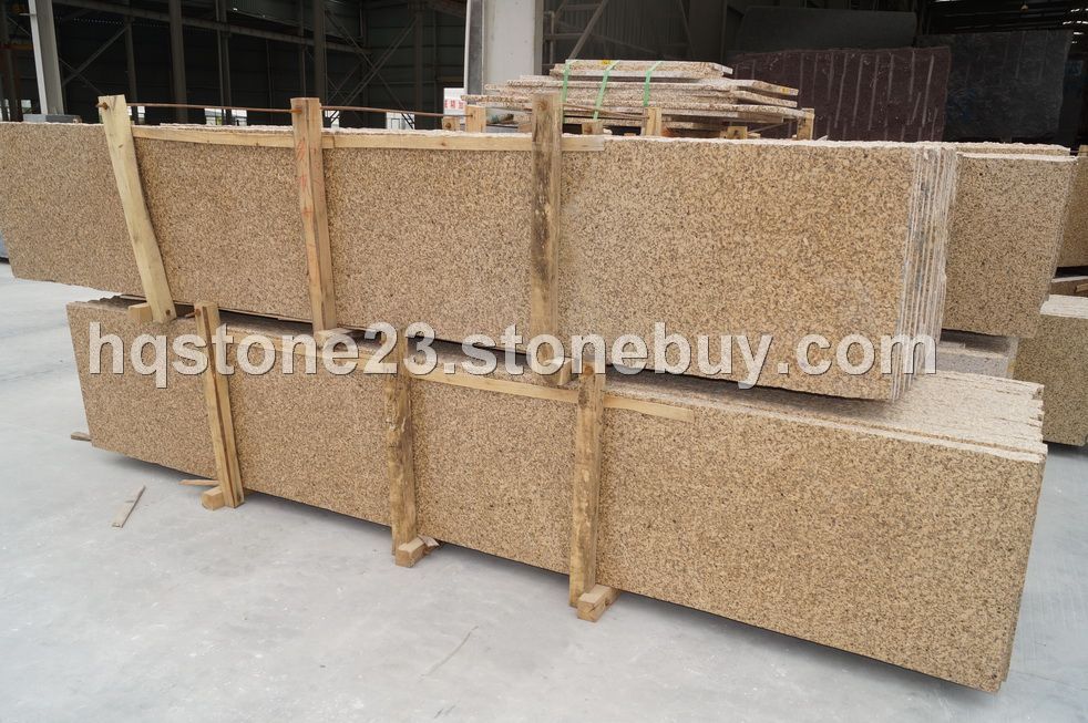 chrysanthemum （黄金麻）&amp;amp;nbsp;