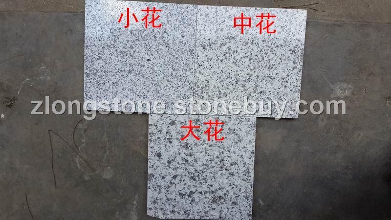 湖北白麻 随州白麻