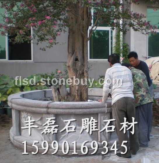 莒南青圆树池