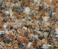 永定红 细花火烧面