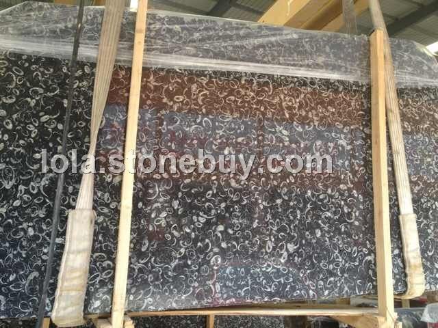 海贝花 Sea Shell Flower