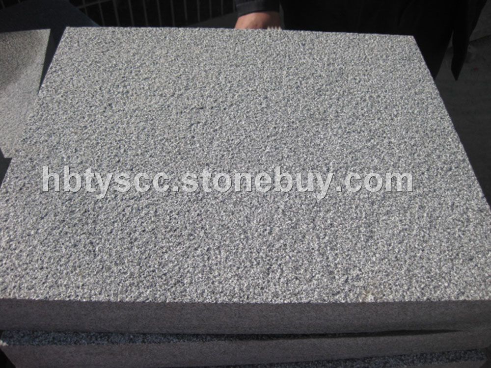 中国黑3号荔枝面