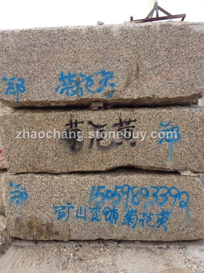 菊花黄,厂家直销