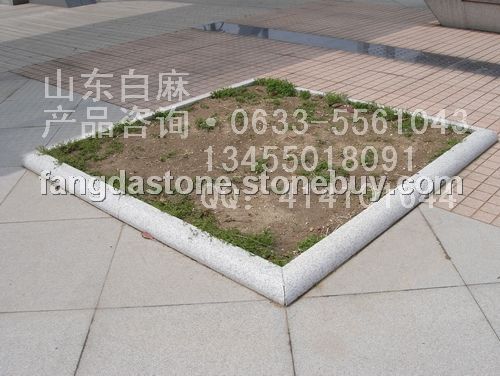 芝麻白树边石