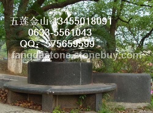 济南青树边石欣赏