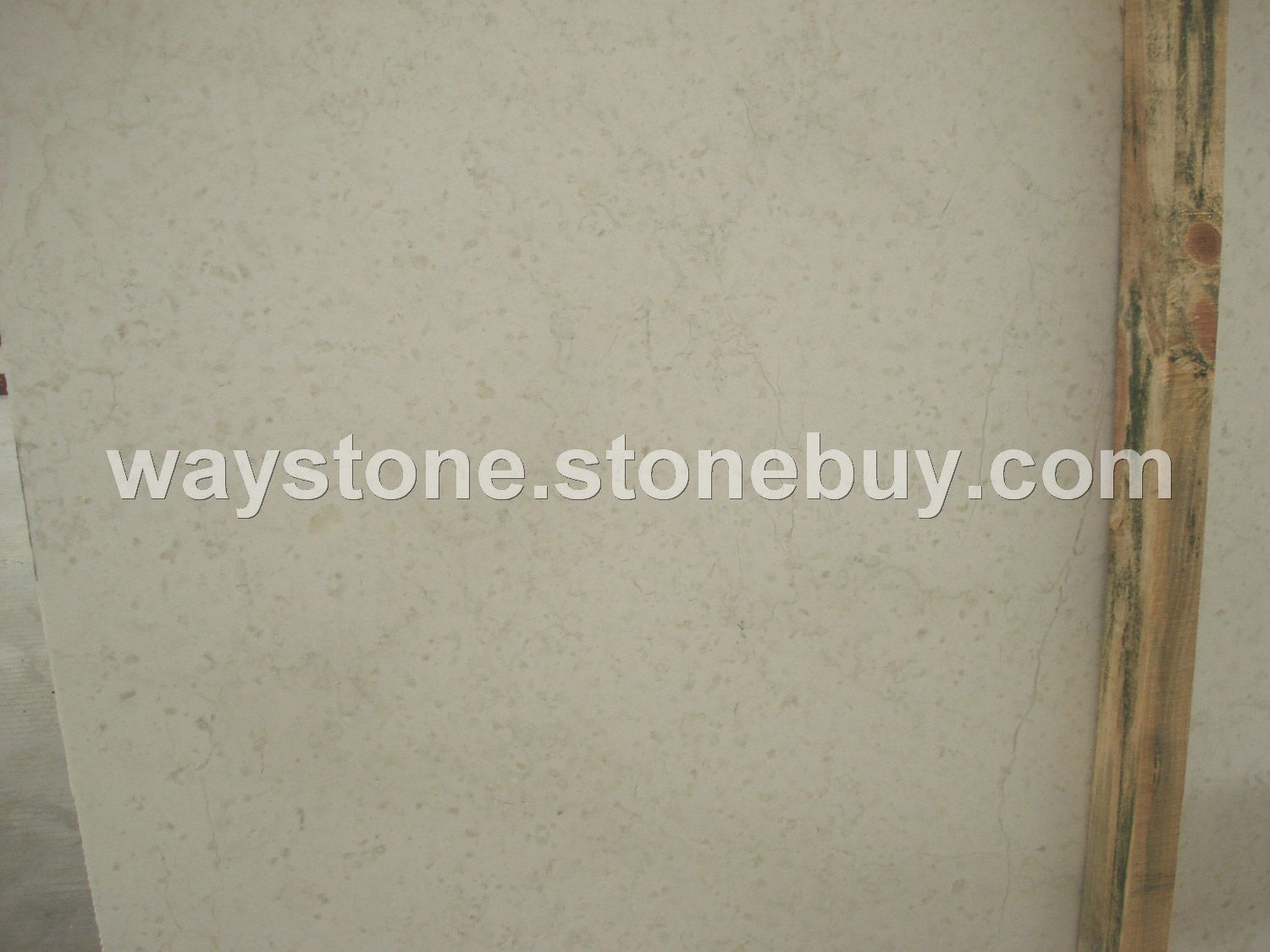 新品：威尼斯米白