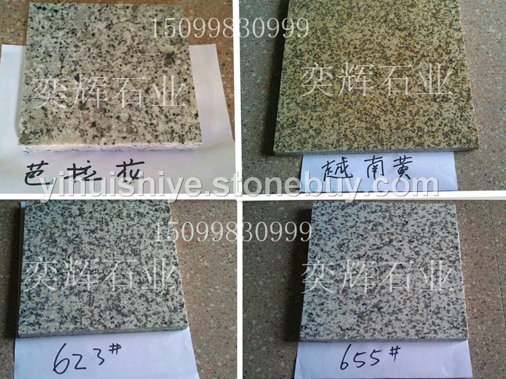 芭拉花 越南黄 G623 G655