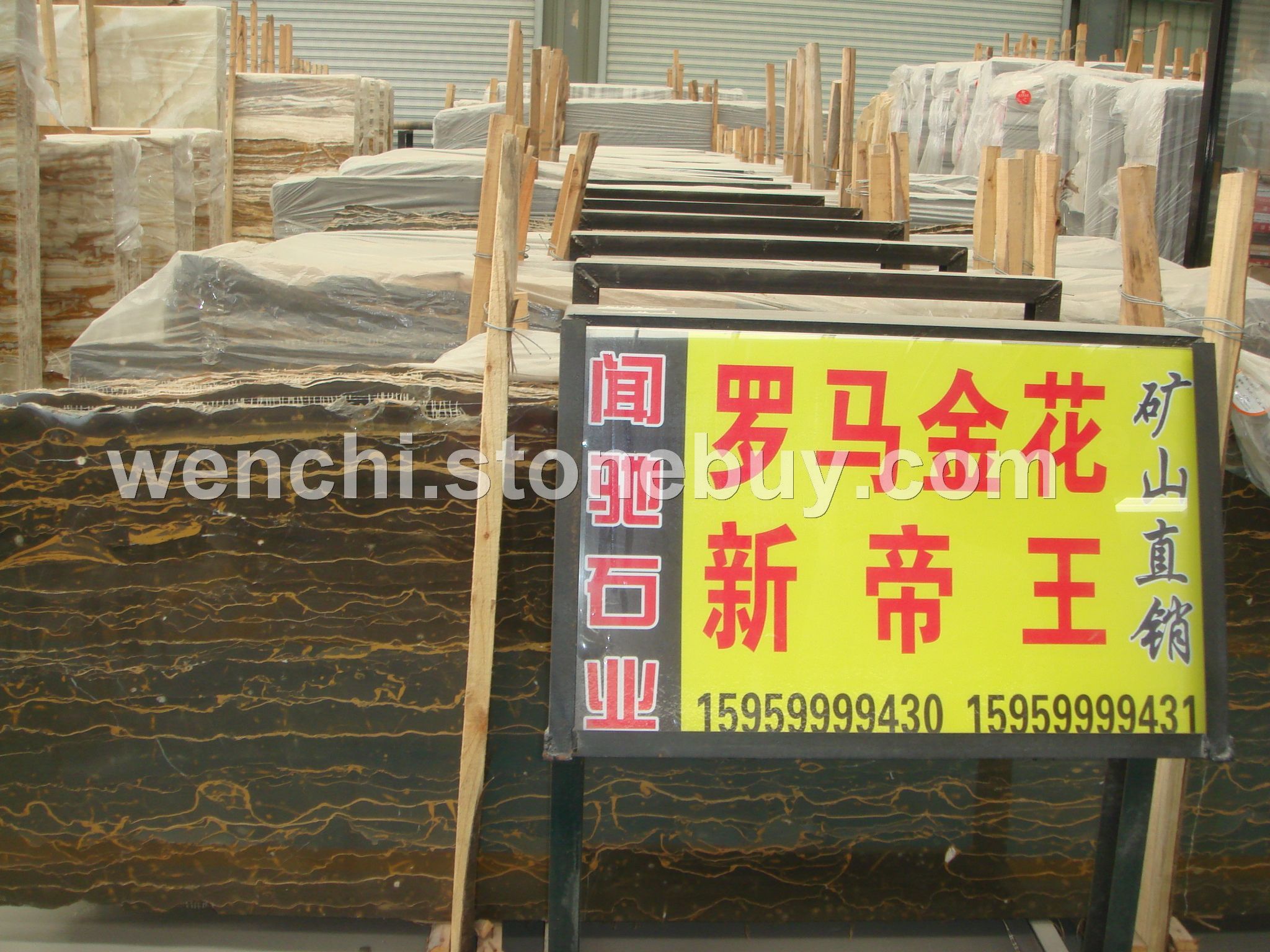 罗马金花
