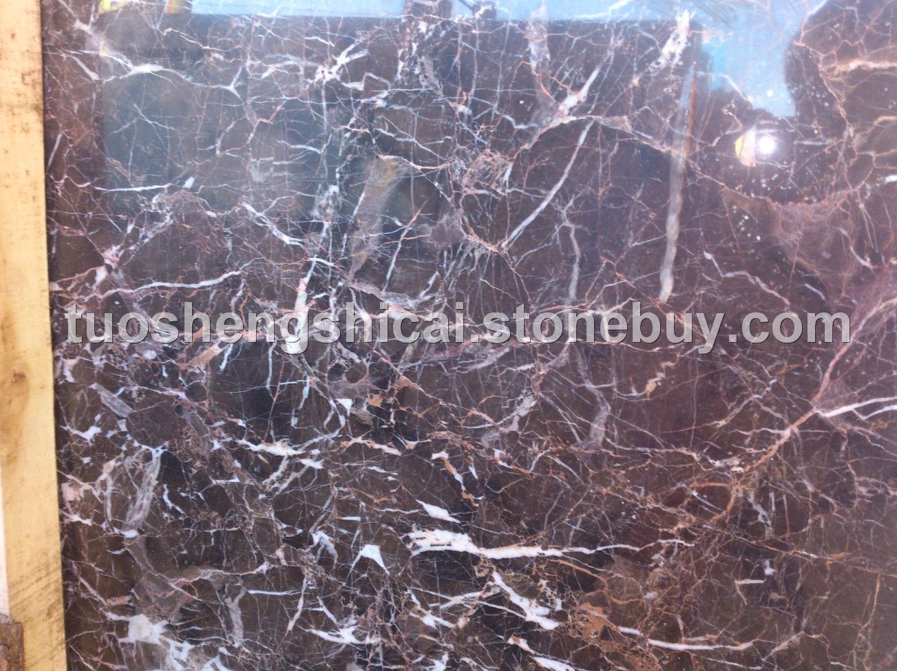 深啡网&amp;nbsp;&amp;nbsp;红筋