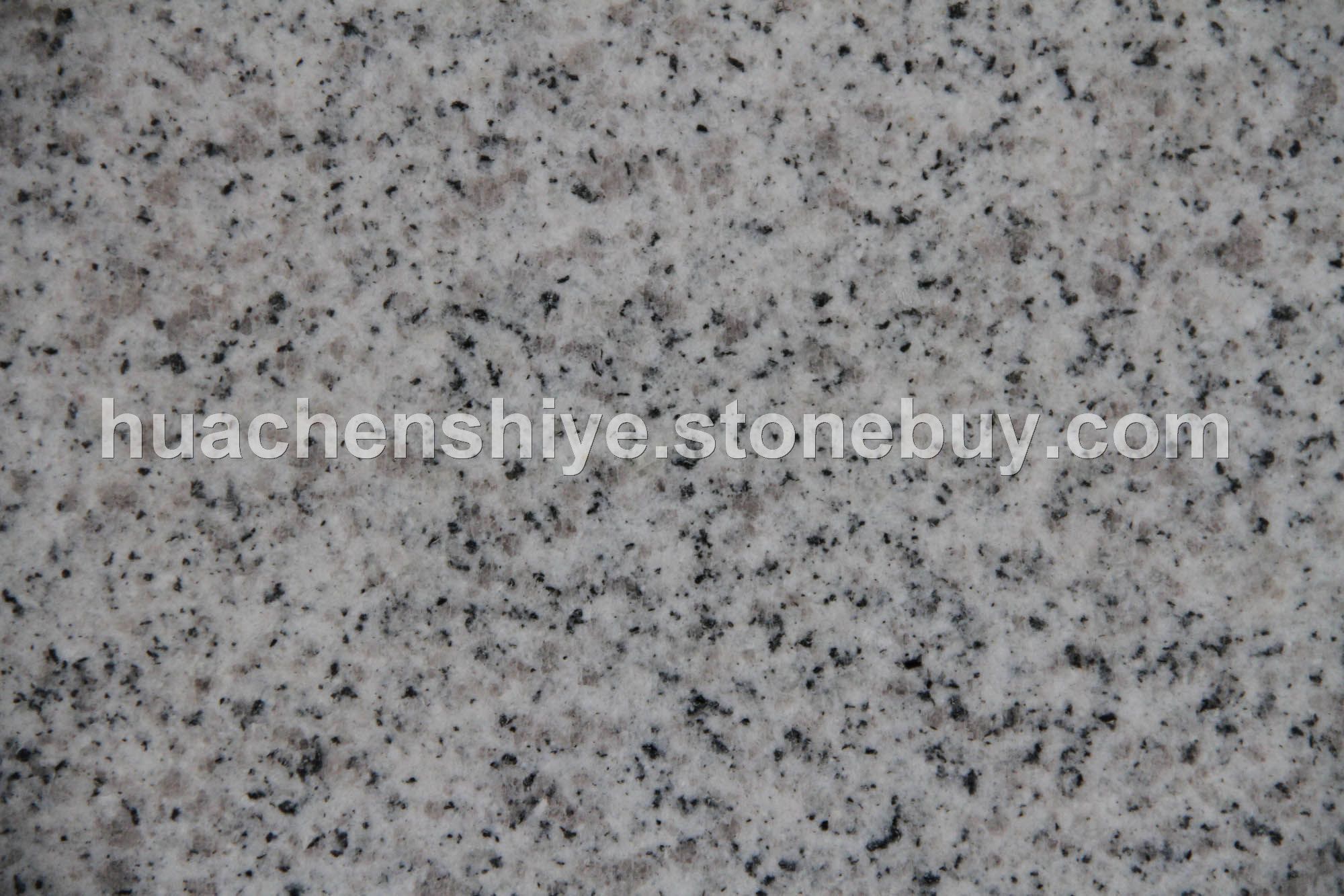 白麻3号大花光面