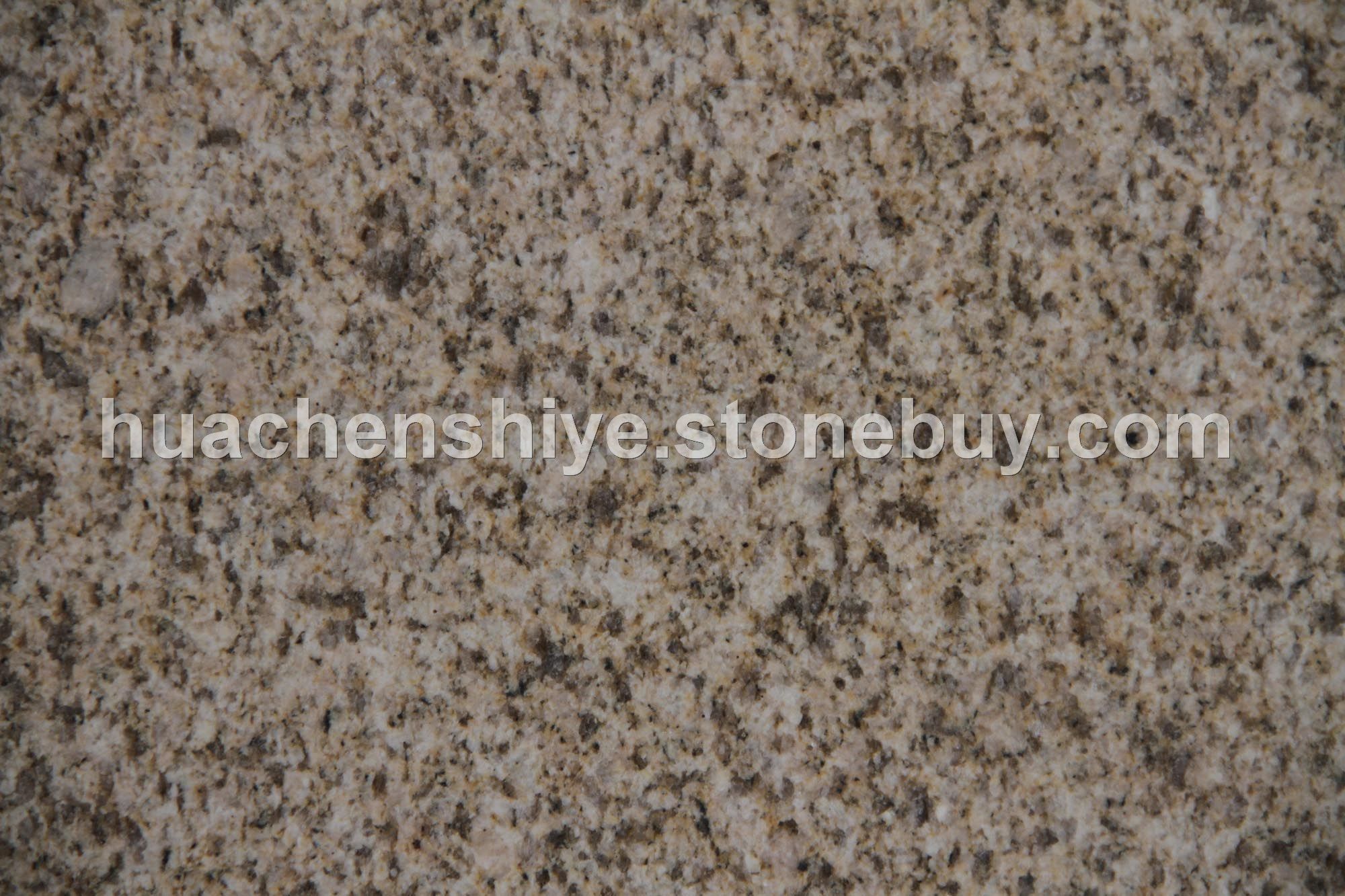 黄金麻1号高压水洗面