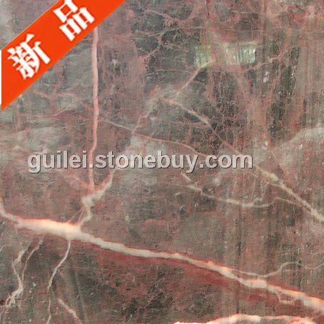 金知珠 样品