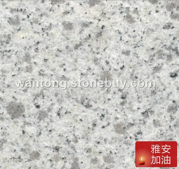 芝麻白 生产批发基地 电话/微信18660260723