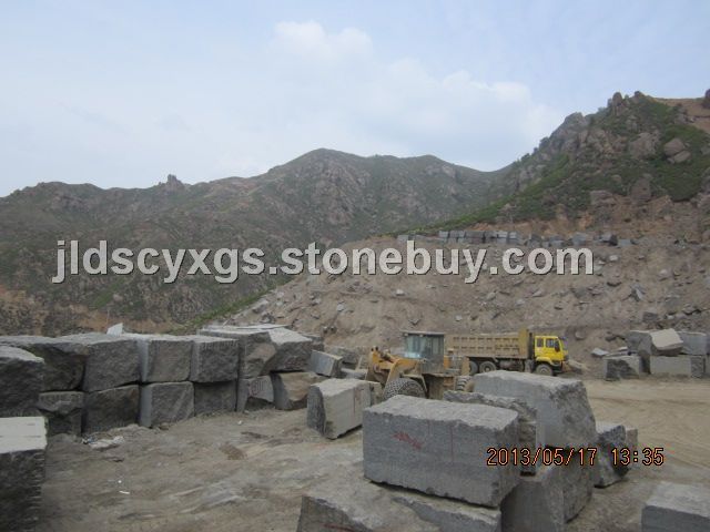 蝴蝶绿矿山堆场