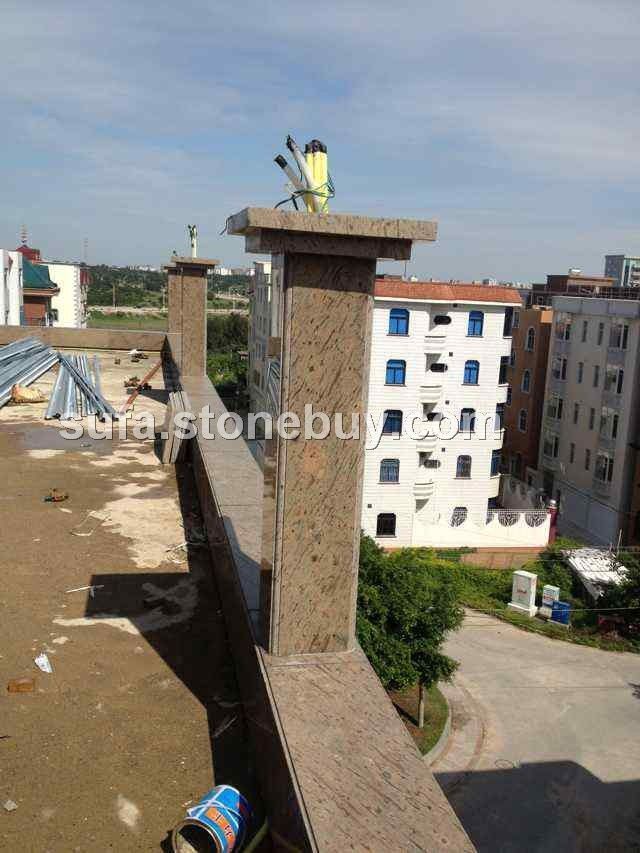 金孔雀工程案例