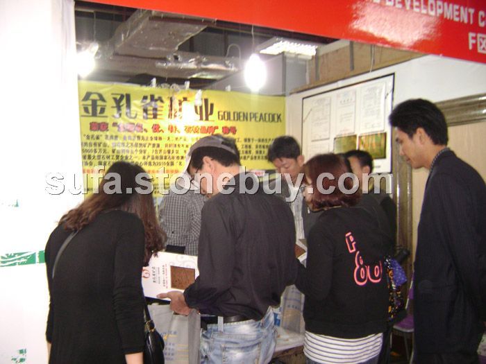 金孔雀展会