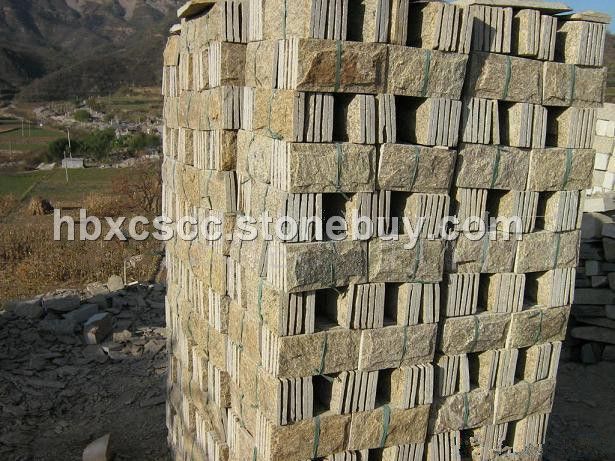 芝麻黄蘑菇100x200