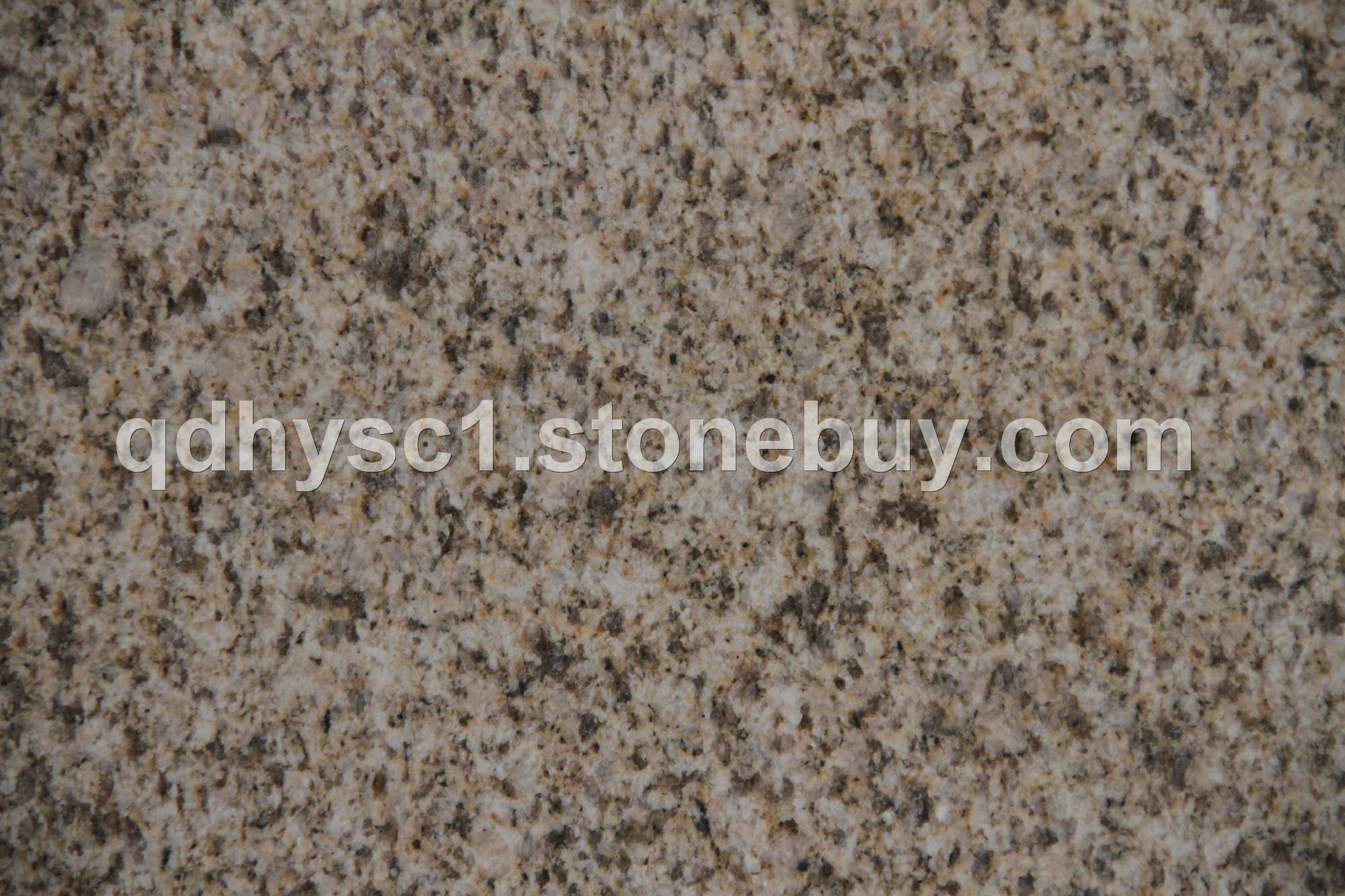 黄金麻1号高压水洗面