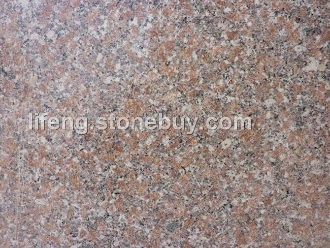 五莲红光板 小花