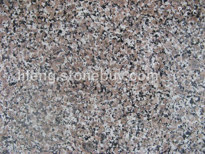 五莲花 光面 中花