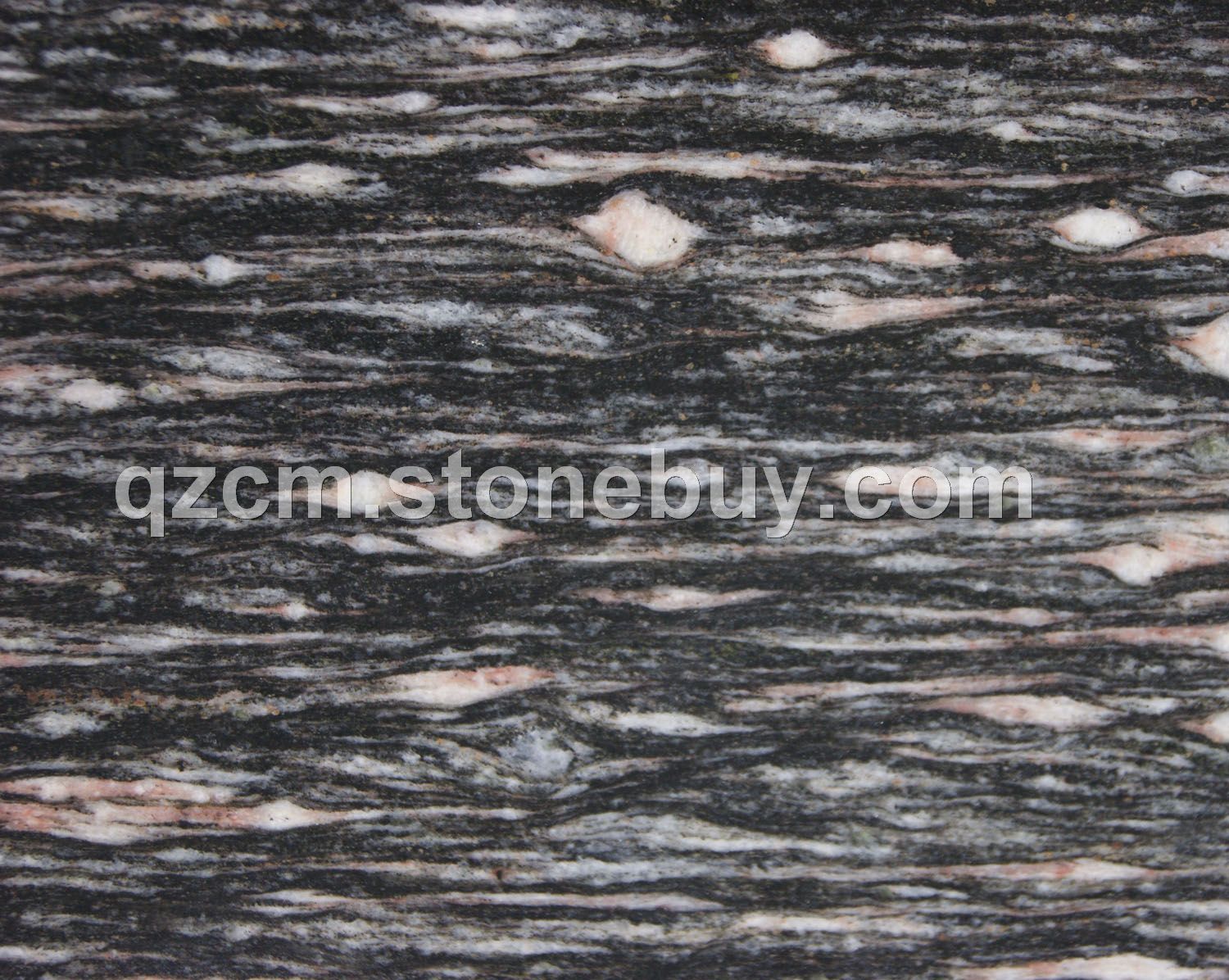 闪光梅 Flashy Plum