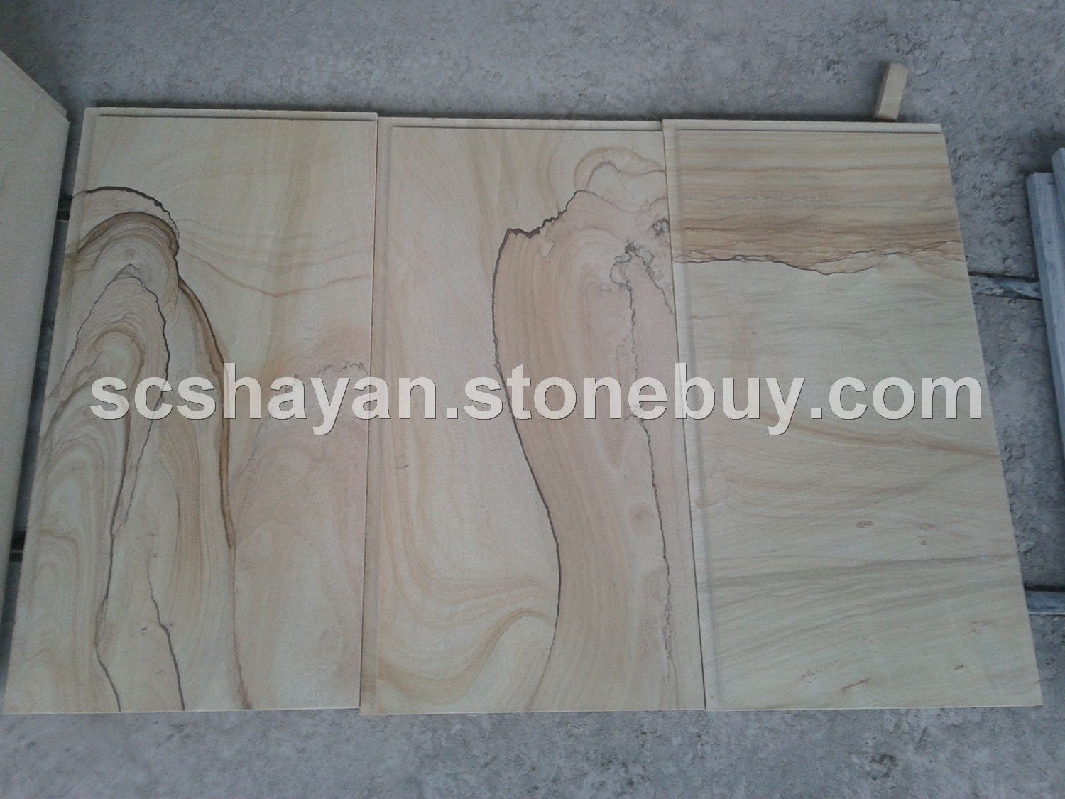 山水纹砂岩—SSW