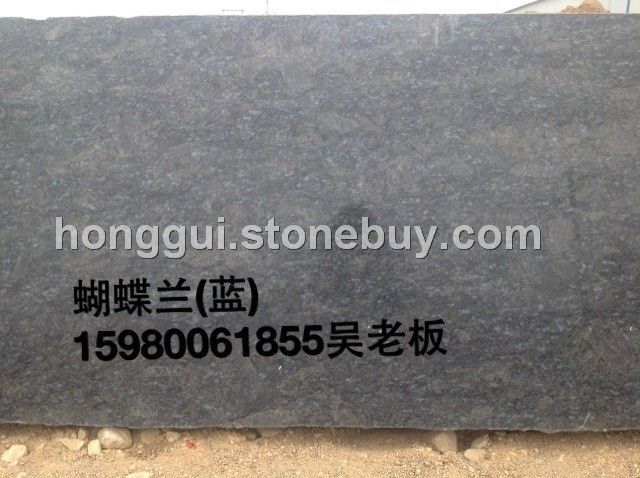 内蒙古蝴蝶兰 15980061855