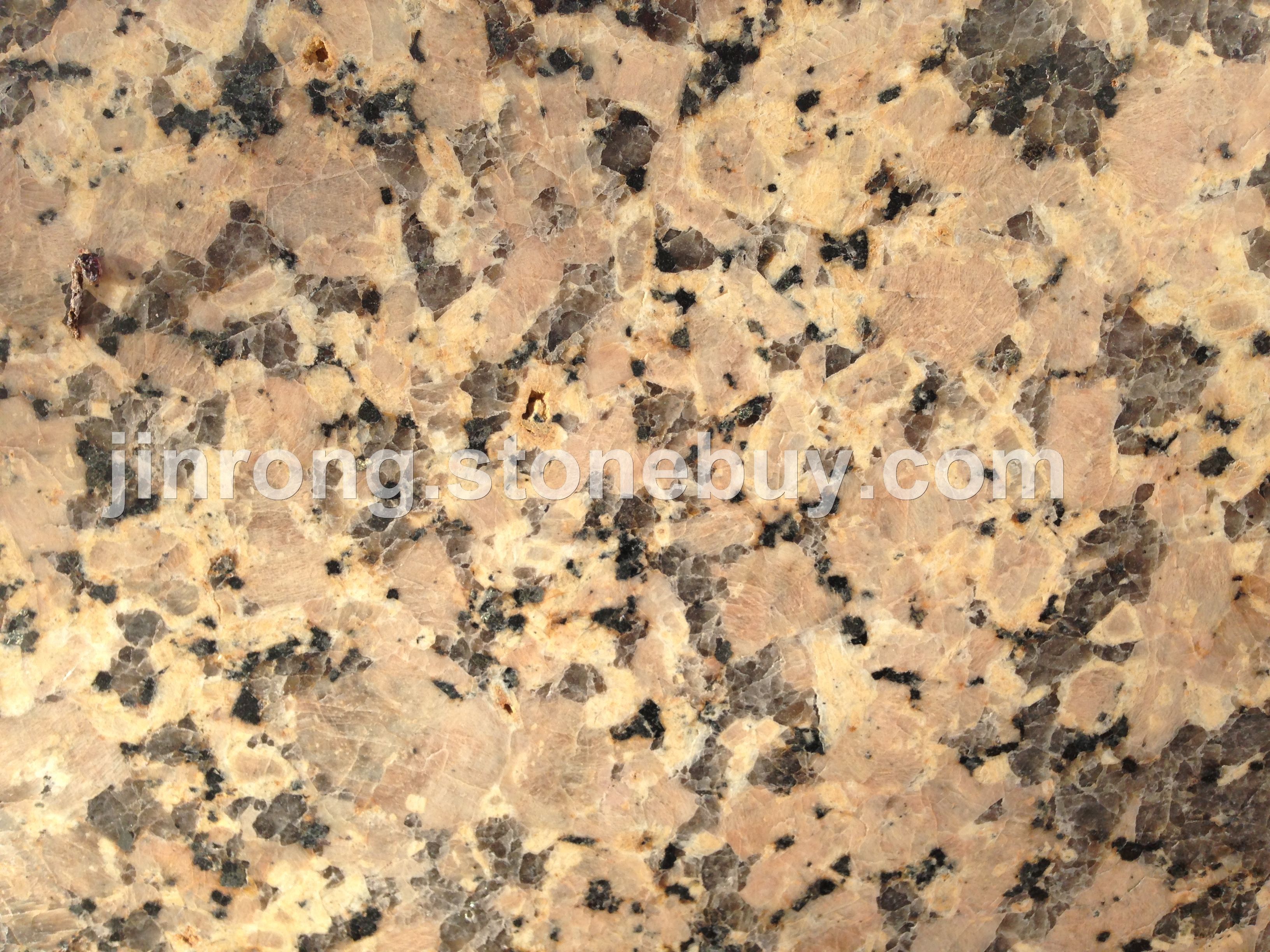 金钻玛2号(金钻麻)