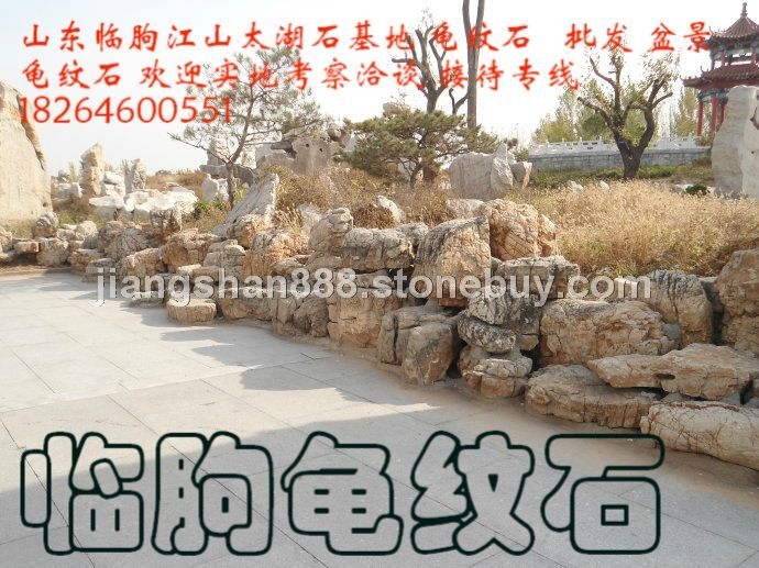 龟纹石 临朐龟纹石 龟纹石基地