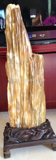 树化石、木化玉