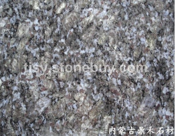 蝴蝶兰.紫点白金.紫罗兰.福鼎黑684.紫晶蓝钻