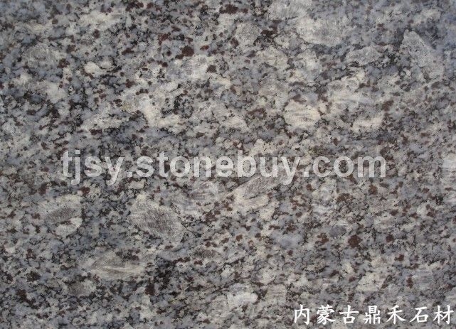 蝴蝶兰.紫点白金.紫罗兰.福鼎黑684.紫晶蓝钻