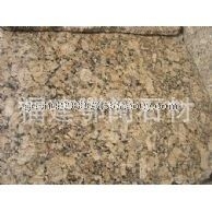 巴西进口金钻麻