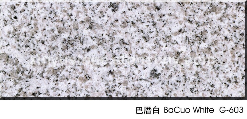 巴厝白G603