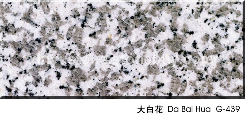 大白花G439
