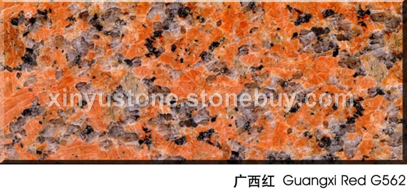 广西红G562