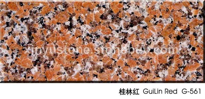 桂林红G561