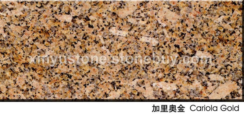 加里奥金