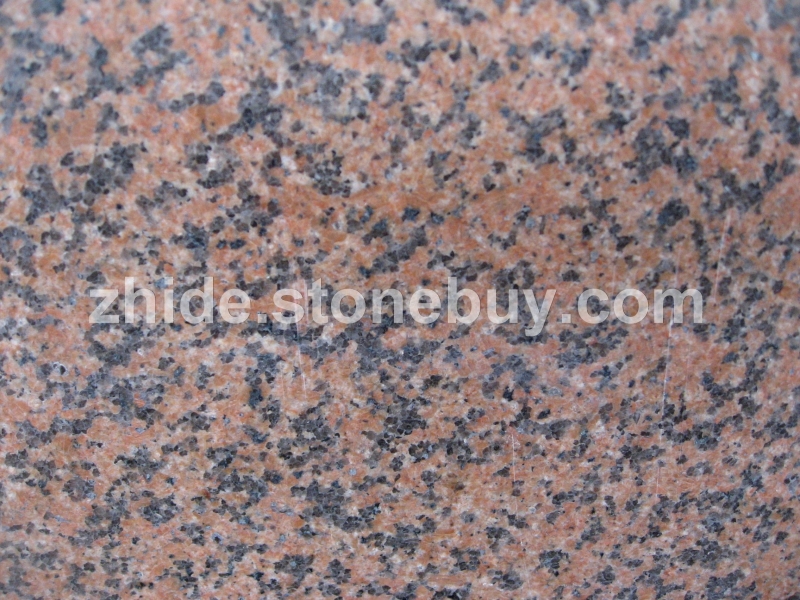 新疆红细花光板