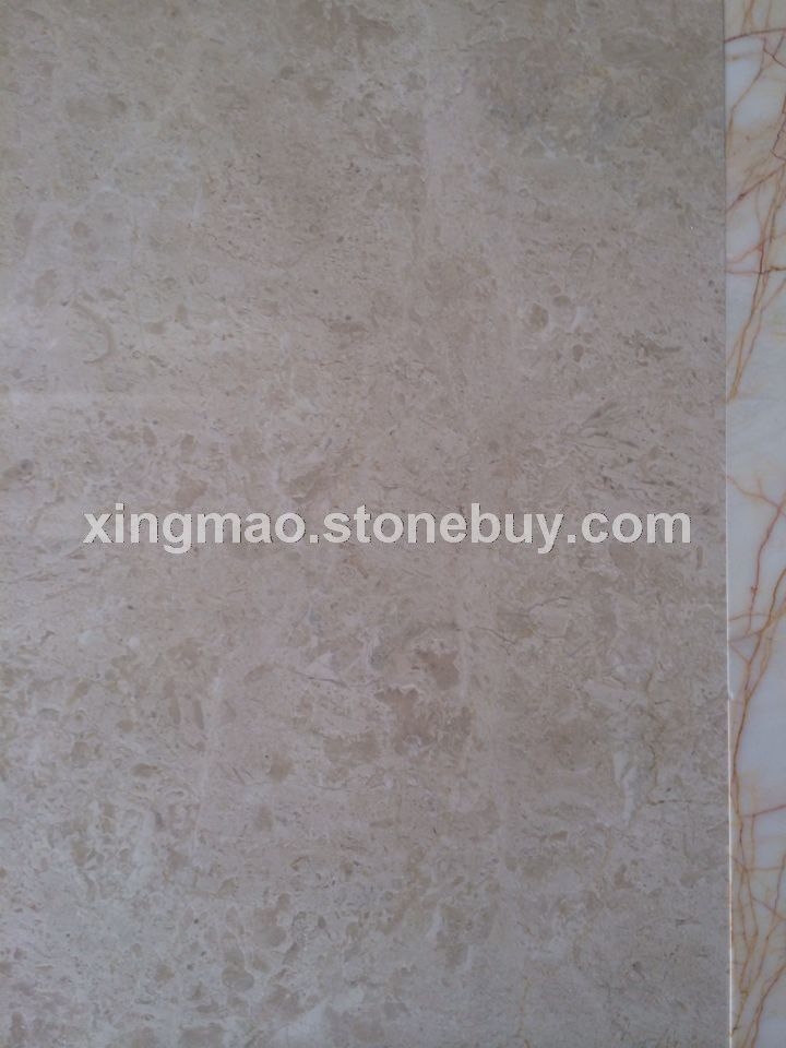 白玫瑰