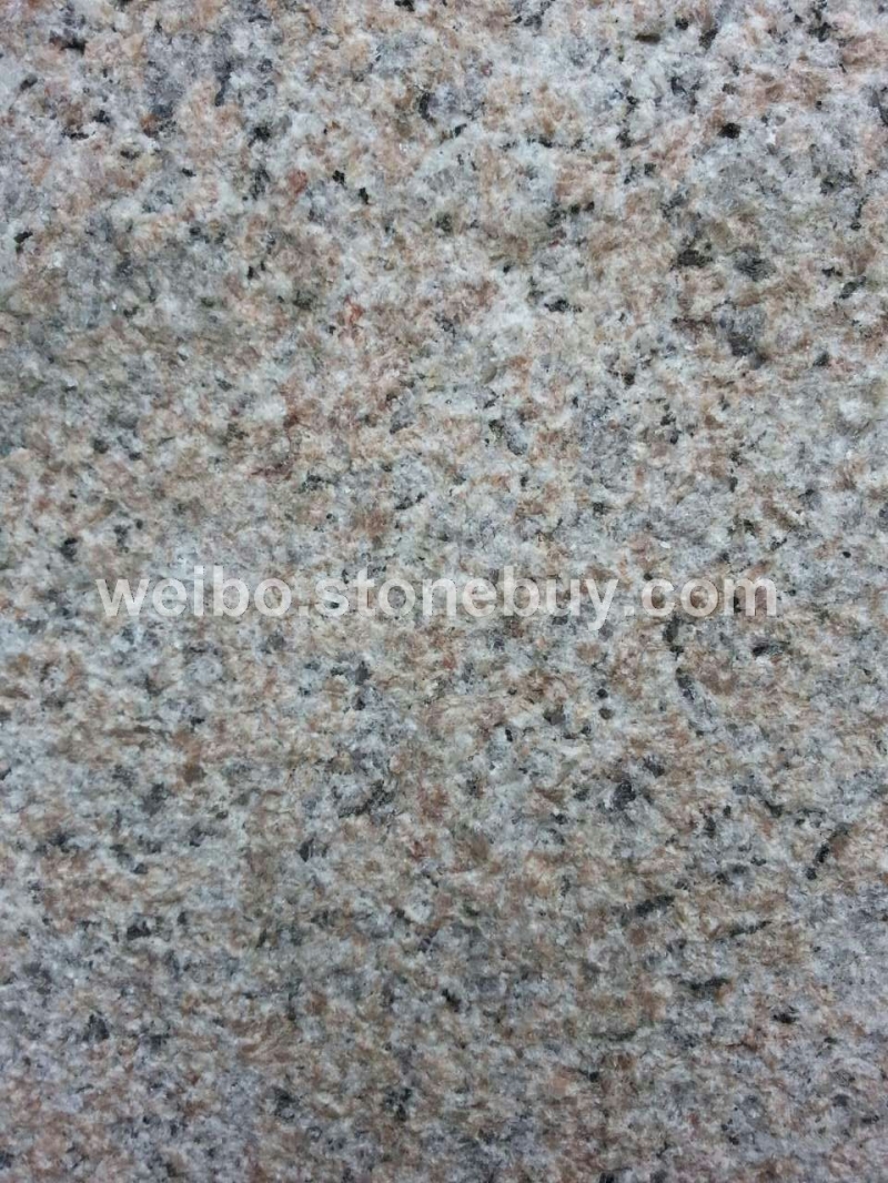 华东红荔枝面