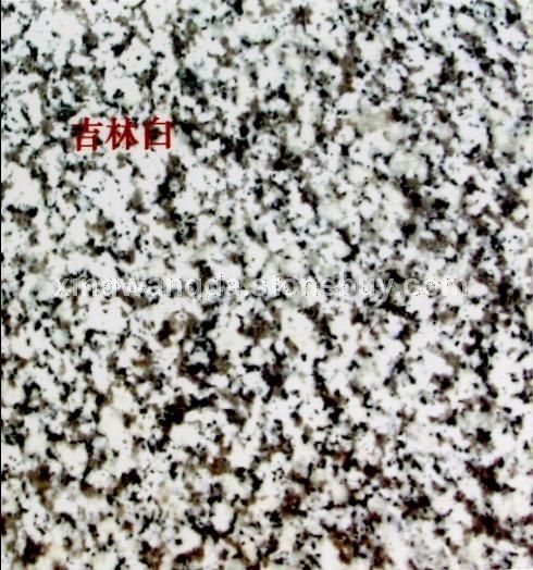 吉林白