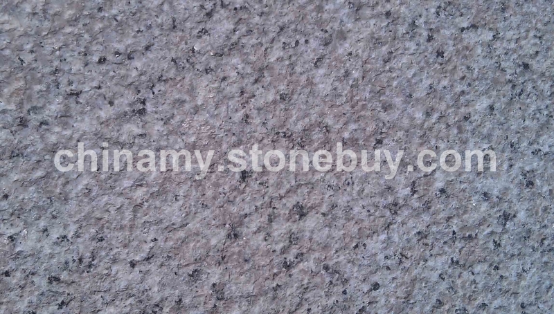 新安溪红G635荔枝面