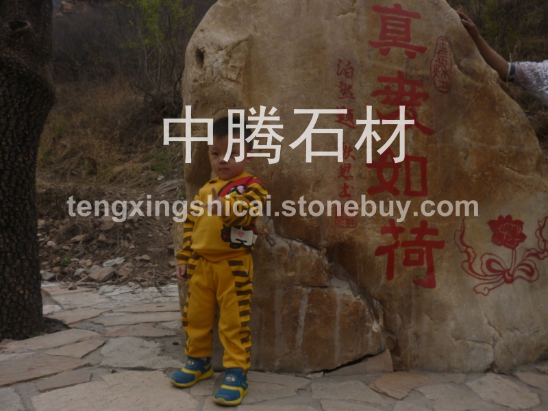 景观石30