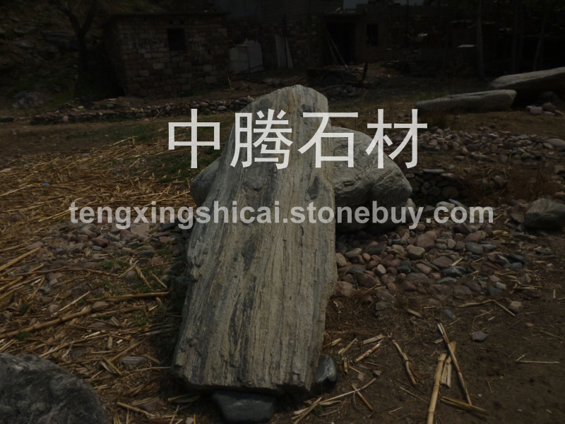 景观石3