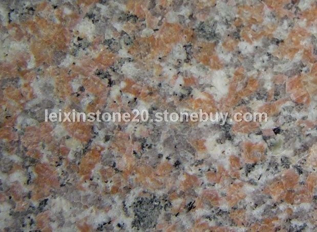 永定红大花光面