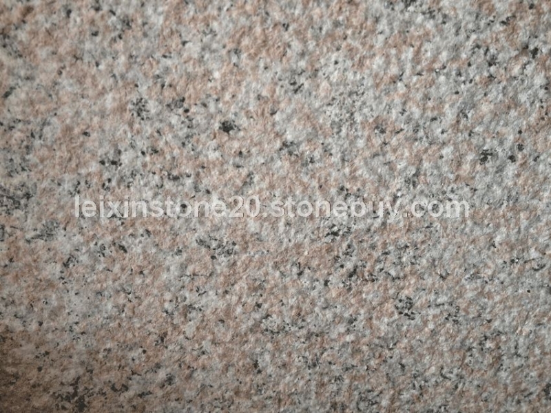 永定红大花荔枝面